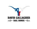 David Gallagher Bail Bonds logo